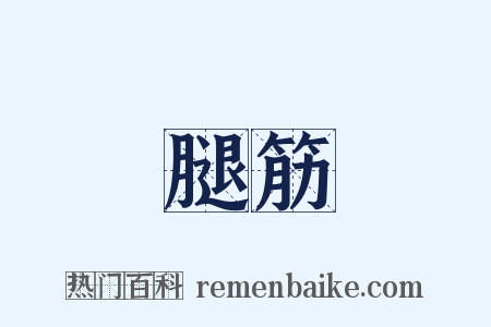 腿筋是什么意思的图片